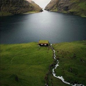 Meet your Posher, Dyan